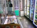 Действующий прибыльный бизнес-продуктовый магазин · 54 м² за 25 млн ₸ в Усть-Каменогорске — фото 4