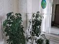 3-комнатная квартира · 78 м² · 3/3 этаж, Тәуелсіздік 80 — Тәуелсіздік ильясова80 за 25 млн ₸ в  — фото 9