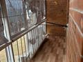 2-бөлмелі пәтер · 59 м² · 7/9 қабат, мкр. Алтын орда 10Б — рядом ресторан 1001түн, бағасы: 25 млн ₸ в Актобе — фото 9