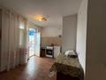 1-комнатная квартира · 31 м² · 9/9 этаж, мкр Нурсат 2 42 — Рядом с Городским Акиматом за 17 млн ₸ в Шымкенте, Каратауский р-н — фото 13
