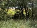 Участок · 20 га, Уалиханова за 280 млн ₸ в Алатау — фото 5