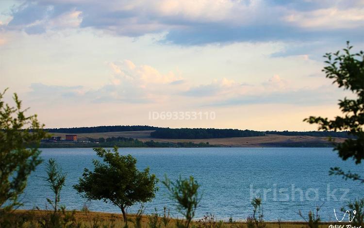 Участок · 100 соток, Жукей за ~ 19.5 млн ₸ — фото 15