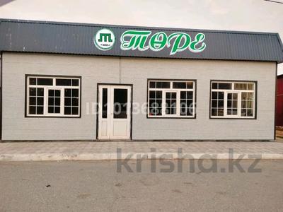 Магазины и бутики · 60 м² за 25 млн ₸ в Курмангазы (Ганюшкино)