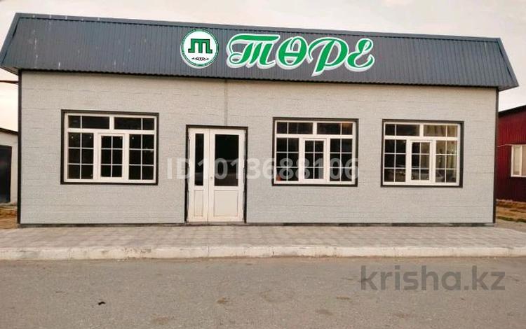 Магазины и бутики · 60 м² за 25 млн ₸ в Курмангазы (Ганюшкино) — фото 3