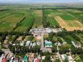 Торговый дом и торговые площади · 1600 м² за 868 млн ₸ в Каратурык — фото 13
