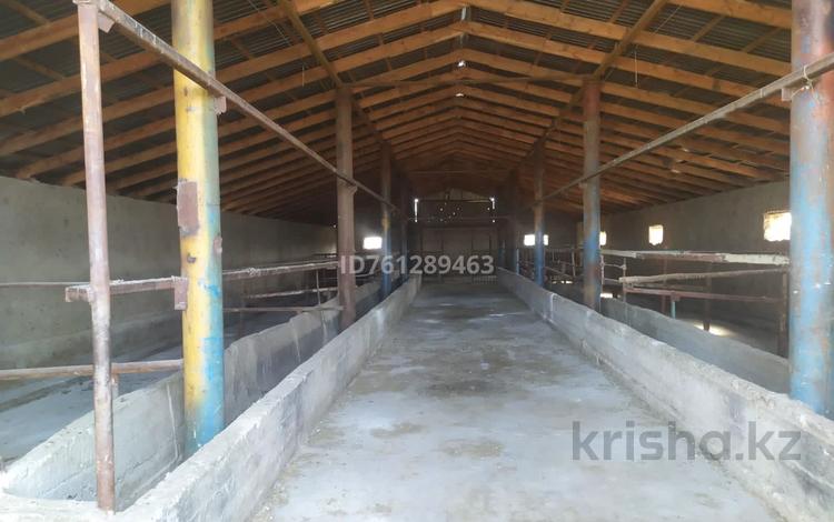 Сельское хозяйство · 250 м² за 150 000 〒 в Таразе — фото 2