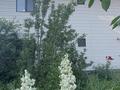 Отдельный дом · 3 комнаты · 135 м², Потанина 276б — 2 1 цена. Платите за один — получаете два. за ~ 82 млн ₸ в Алматы, Турксибский р-н — фото 42