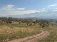 Участок · 1.5 га, Кооператив Рыскулова за 12 млн 〒 в Талгаре