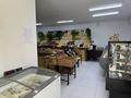 Магазины и бутики · 62 м² за 3.5 млн ₸ в Алматы, Турксибский р-н — фото 13