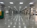 Еркін · 3903 м², бағасы: 2.7 млрд ₸ в Астане, Сарыарка р-н — фото 9
