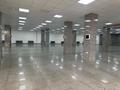 Еркін · 3903 м², бағасы: 2.7 млрд ₸ в Астане, Сарыарка р-н — фото 14