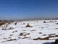 Участок · 2.2 га, Исаево за 160 млн ₸ — фото 3