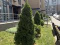 2-комнатная квартира · 55 м² · 10/13 этаж, Толе би 189/3 — Жарокова за ~ 47 млн ₸ в Алматы, Алмалинский р-н — фото 16
