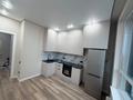 1-бөлмелі пәтер · 45 м² · 4/9 қабат, E 429 — Сыгана- Чингиз Айтматова ЖК Парк сити, бағасы: 250 000 ₸ в Астане, Нура р-н — фото 17