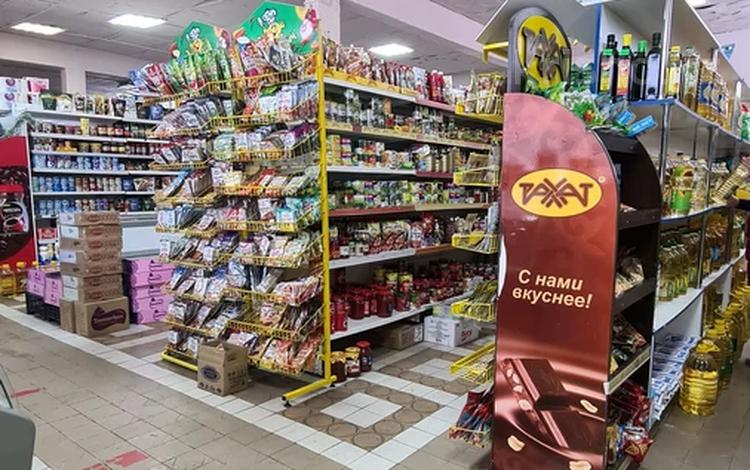 Магазины и бутики • 310 м² за 60 млн 〒 в Петропавловске — фото 2
