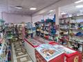 Магазины и бутики • 310 м² за 60 млн 〒 в Петропавловске — фото 10