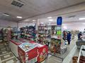Магазины и бутики • 310 м² за 60 млн 〒 в Петропавловске — фото 11
