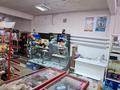 Магазины и бутики • 310 м² за 60 млн 〒 в Петропавловске — фото 12