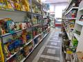 Магазины и бутики • 310 м² за 60 млн 〒 в Петропавловске — фото 2