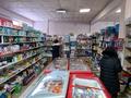 Магазины и бутики • 310 м² за 60 млн 〒 в Петропавловске — фото 5