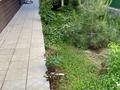 Жеке үй · 6 бөлме · 460 м² · 6 жүзд., Жаңа қала — Марат Оспанова, бағасы: 200 млн ₸ в Актобе, Новый город — фото 5