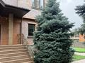 Отдельный дом · 5 комнат · 420 м² · 10 сот., Достык 308 — Городок МВД за 3.5 млн ₸ в Алматы, Медеуский р-н — фото 26