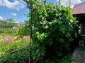 Отдельный дом · 3 комнаты · 66 м² · 8 сот., Кутузова за 21 млн ₸ в Актобе — фото 30