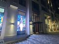 Еркін · 217 м², бағасы: 3.7 млн ₸ в Алматы, Бостандыкский р-н — фото 22