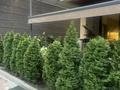 4-комнатная квартира · 130 м² · 1/3 этаж, Кажымукана 109 — Кажимукана Искендирова за 310 млн ₸ в Алматы, Медеуский р-н — фото 17