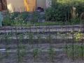 Жеке үй · 4 бөлме · 120 м² · 10 жүзд., Гете 48 — Гагарина, бағасы: 30 млн ₸ в Семее — фото 4