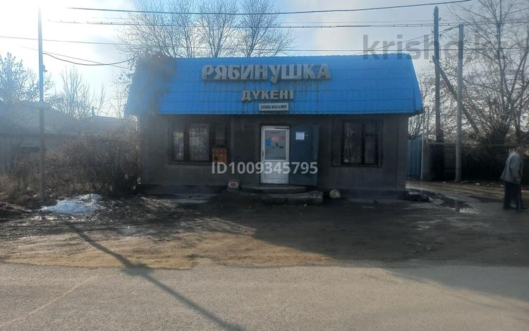 Дүкендер мен бутиктер · 50 м², бағасы: 16 млн ₸ в Боралдае (Бурундай) — фото 2