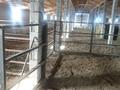 Жер телімі · 485 га, Қараой, бағасы: 180 млн ₸ в Караой — фото 27