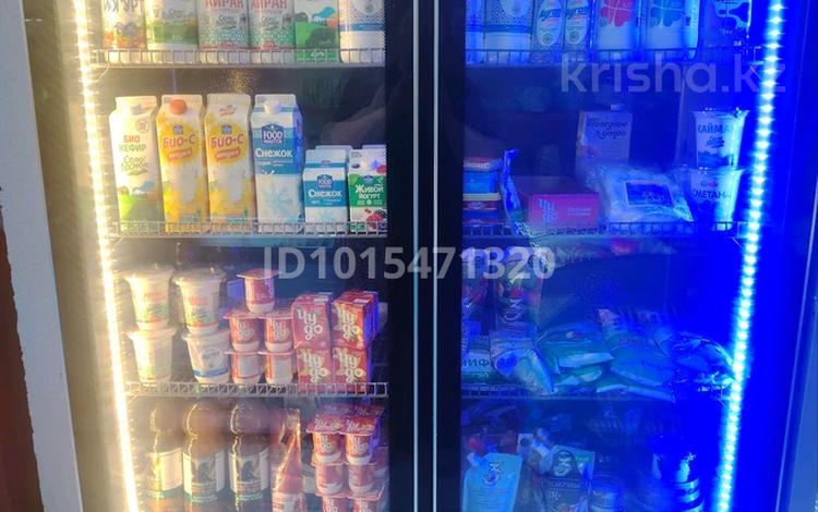 Продуктовый магазин · 98.7 м² за 16 млн ₸ в Астане, Сарыарка р-н — фото 2