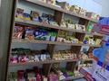 Продуктовый магазин · 98.7 м² за 16 млн ₸ в Астане, Сарыарка р-н — фото 15