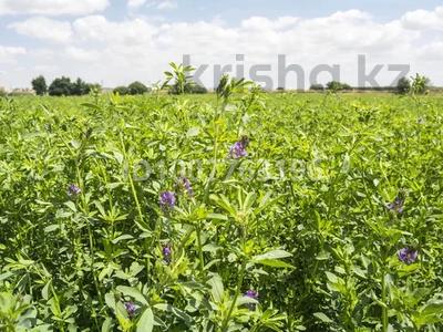 Участок · 18 га, Узынагаш за 99 млн 〒