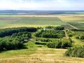 Жер телімі · 290 га, Кенесары, бағасы: 250 млн ₸ — фото 2
