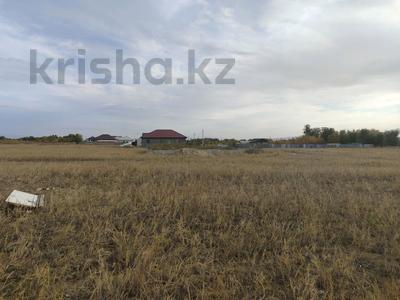 Участок · 5 соток, Плодопитомник за 3 млн ₸ в Талдыкоргане