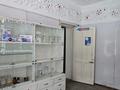 Еркін · 521.1 м², бағасы: 142 млн ₸ в Семее — фото 9
