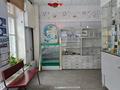 Еркін · 521.1 м², бағасы: 142 млн ₸ в Семее — фото 2