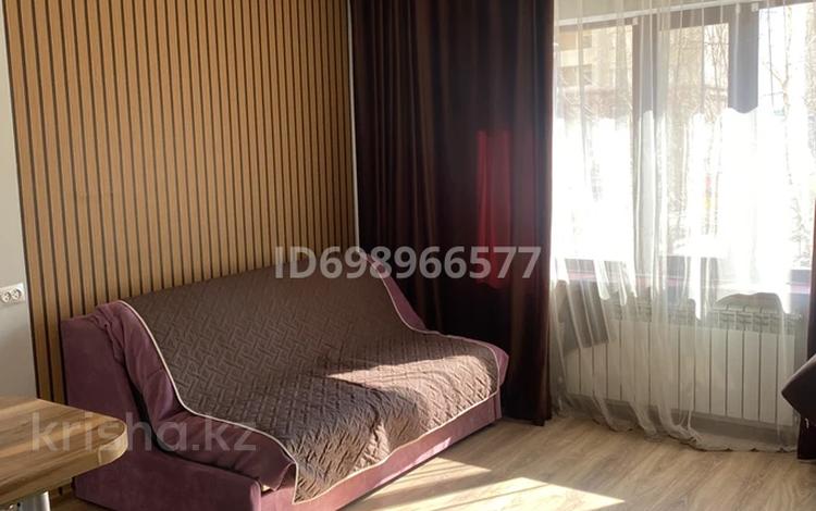 1-комнатная квартира · 25 м² · 1/13 этаж, Кошкарбаева 68 — Кудайбергенова за 10 000 ₸ в Астане, Алматы р-н — фото 54