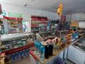 Магазины и бутики • 104 м² за 70 млн 〒 в Талдыкоргане — фото 5