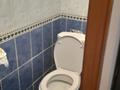3-бөлмелі пәтер · 67 м² · 4/5 қабат, Боралдай ш/а., Водник-1 45, бағасы: 30 млн ₸ в Алматы, Алатауский р-н — фото 8