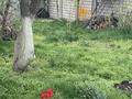 Отдельный дом · 3 комнаты · 30 м² · 7.2 сот., Южная 72 за 10 млн ₸ в  — фото 5