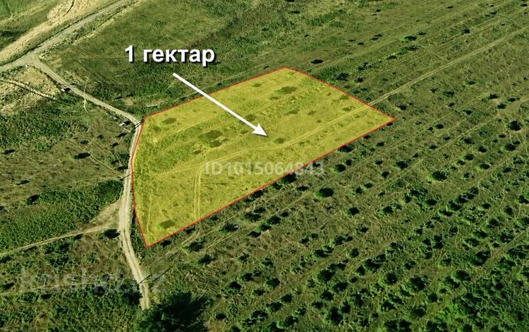 Участок · 1 га, Мкр Галамат за 420 млн ₸ в Алматы, Наурызбайский р-н — фото 2
