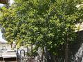 Жеке үй · 3 бөлме · 80 м² · 9 жүзд., Молдогулова 39 — Рыскулова, бағасы: 35 млн ₸ в Жибек Жолы — фото 11