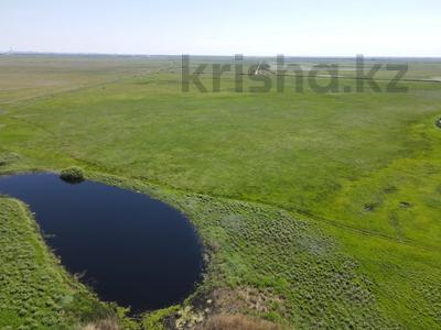 Жер телімі · 80 га, Караоткель, бағасы: 30 млн ₸