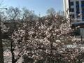 3-комнатная квартира · 55 м² · 3/4 этаж, Масанчи 108 — Сатпаева угол Масанчи за 51.5 млн ₸ в Алматы, Бостандыкский р-н — фото 6
