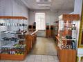 Магазины и бутики • 133 м² за 50 млн 〒 в Алтае — фото 7