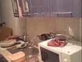 1-комнатная квартира · 26.2 м² · 7/10 этаж, мкр Аксай-3А за 19.5 млн ₸ в Алматы, Ауэзовский р-н — фото 2