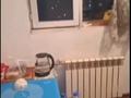 1-комнатная квартира · 26.2 м² · 7/10 этаж, мкр Аксай-3А за 19.5 млн ₸ в Алматы, Ауэзовский р-н — фото 3
